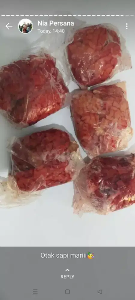 Supplier otak sapi murah surabaya