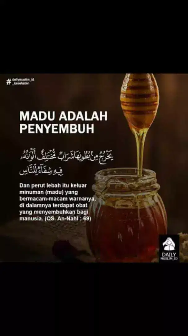 Madu hutan akasia mangium asli dan murni