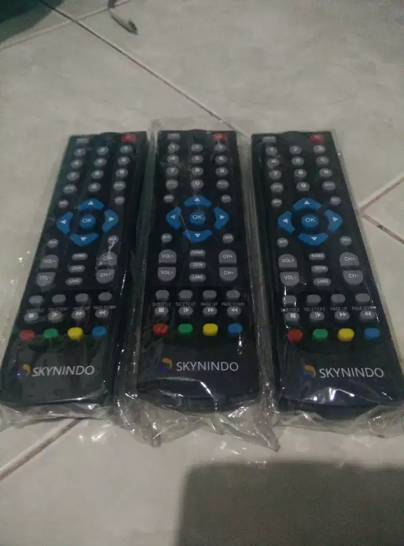 Remote receiver SKYNINDO ASLI