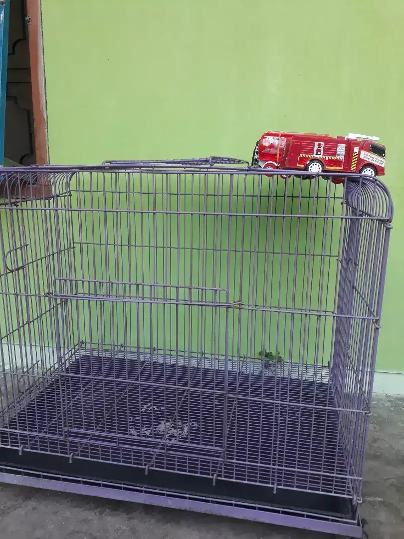 Kandang kucing ukuran besar