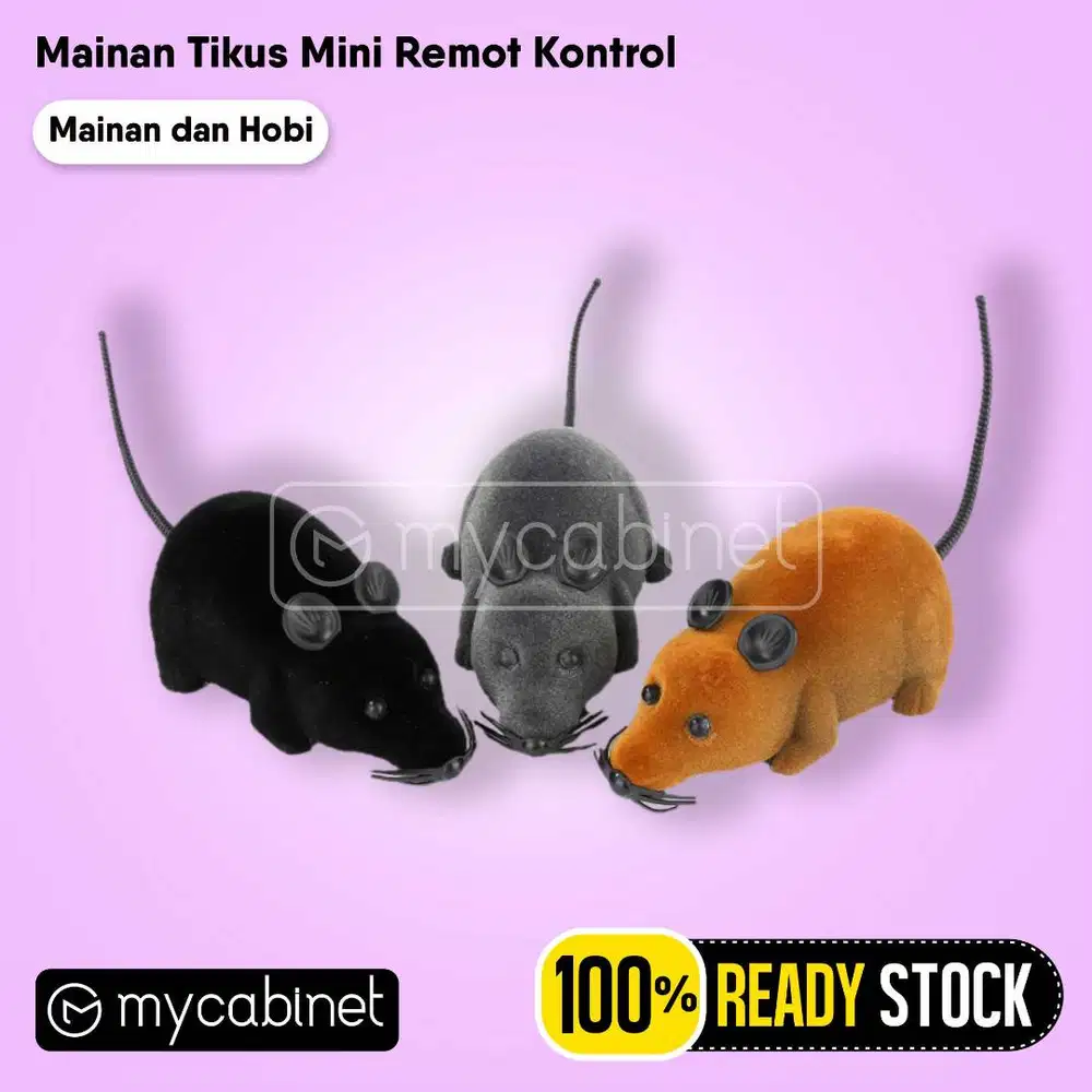 Mainan Tikus Remote Control Kids Toys Mice Mouse