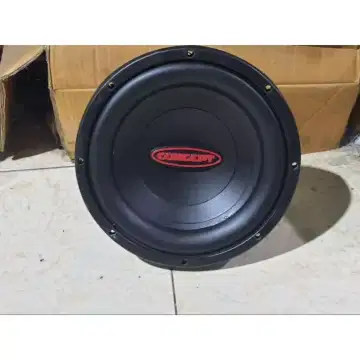 Concept 10 inch store subwoofer