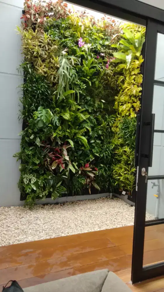 tukang taman fertikal