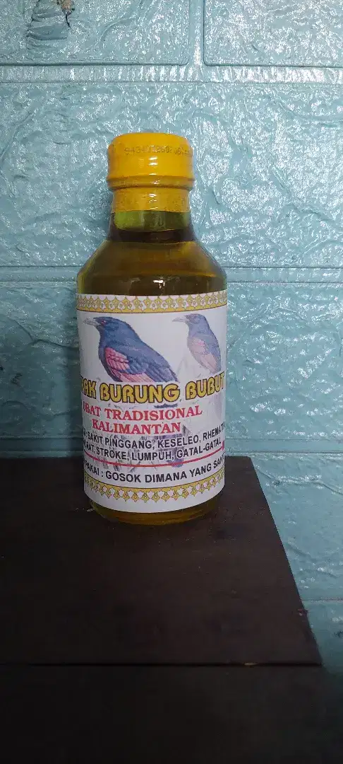 minyak burung bubut obat tradisional kalimantan