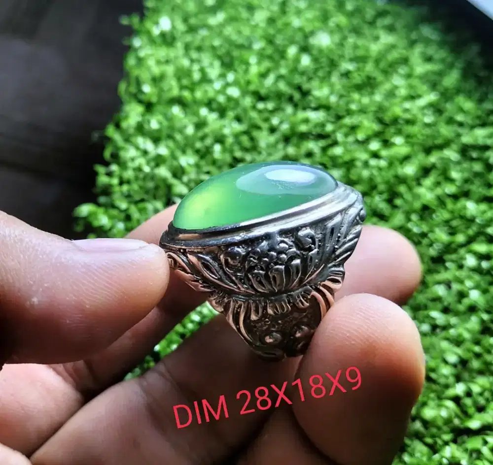 Bismilah hirohman hirohim, semoga ada rezeki nya, yg minat serpentine