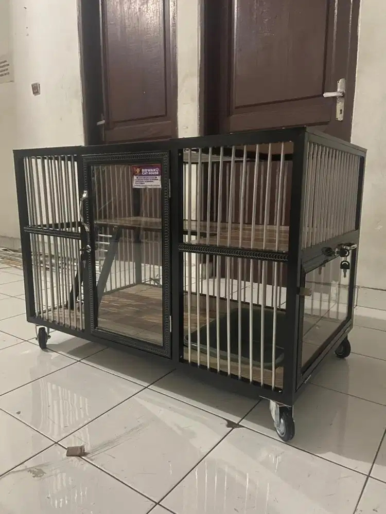 Kandang kucing medan 2