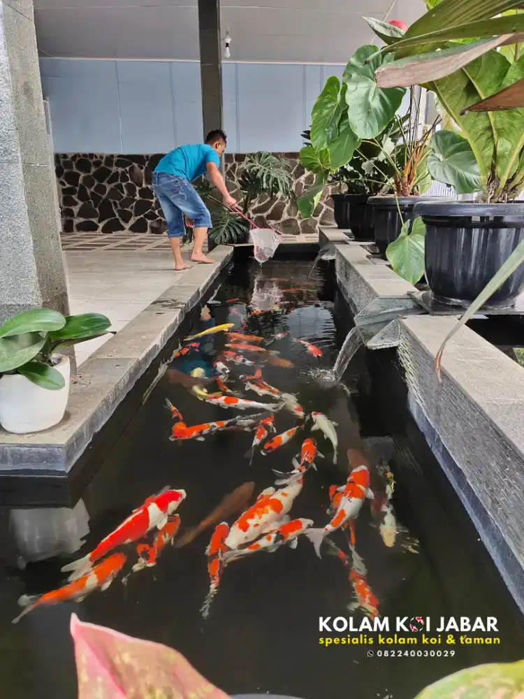Kolam koi minimalis