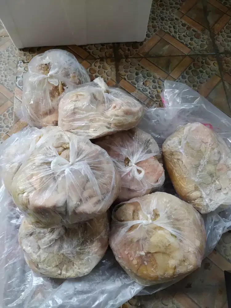 Supplier babat putih surabaya