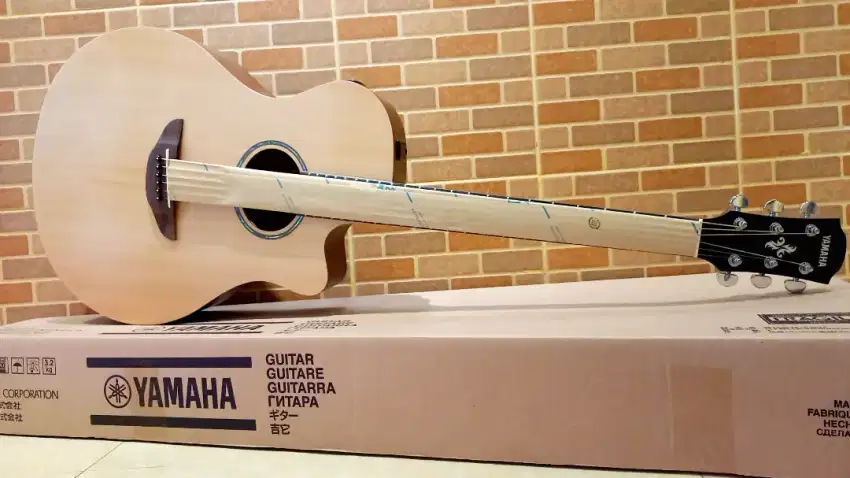 APX600M Yamaha Gitar