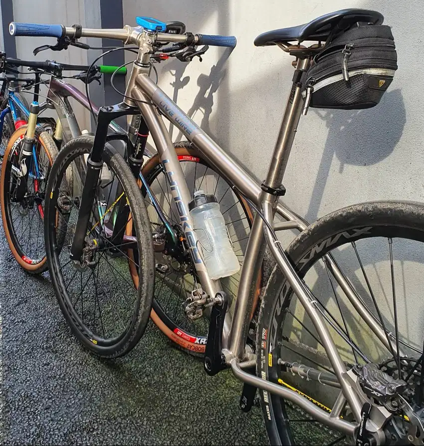 Frame (ONLY) MTB Titanium Lynskey Live Wire 29er Hardtail 2022