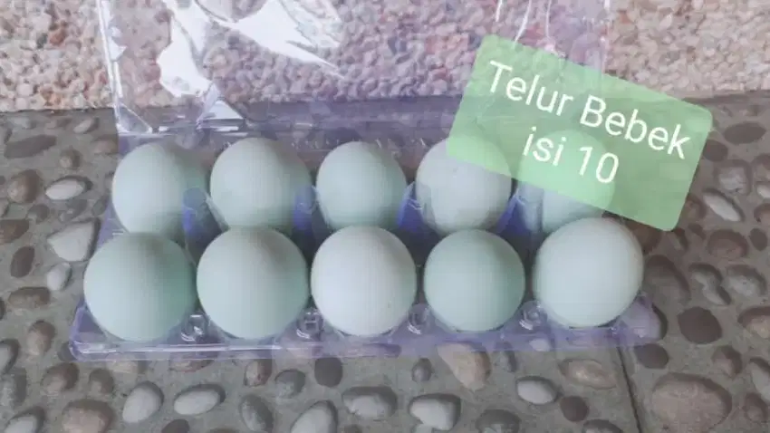 Telur bebek mentah