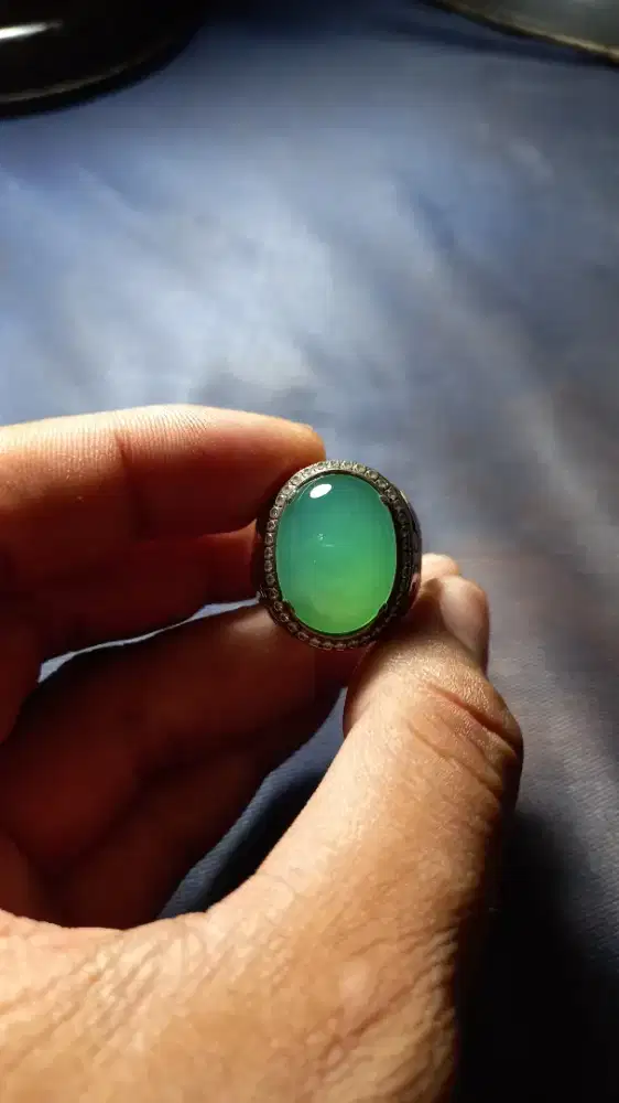 Bacan palamea fido HQ