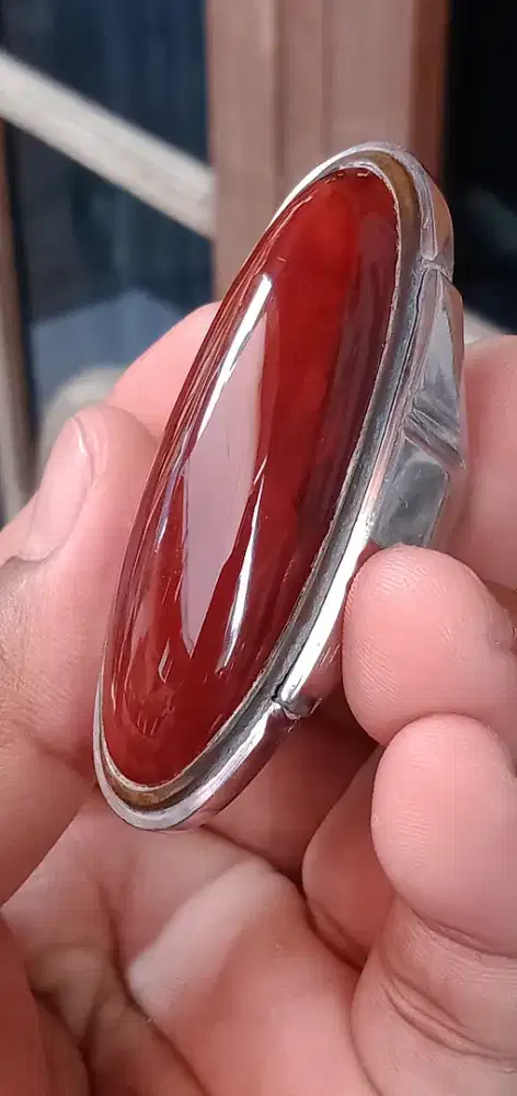 pandan merah rudal babon ( 582010 )