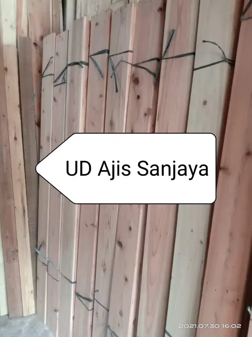 Kayu jati belanda
