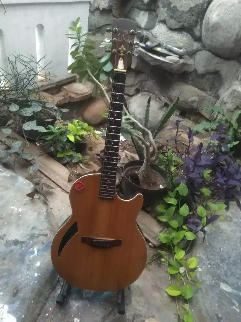Di jual gitar Akustik Vintage&rare merk: ree sound (NET)