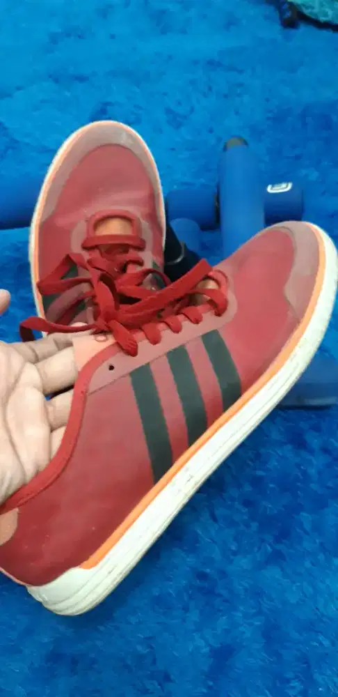 Adidas Neo Size 42 ?