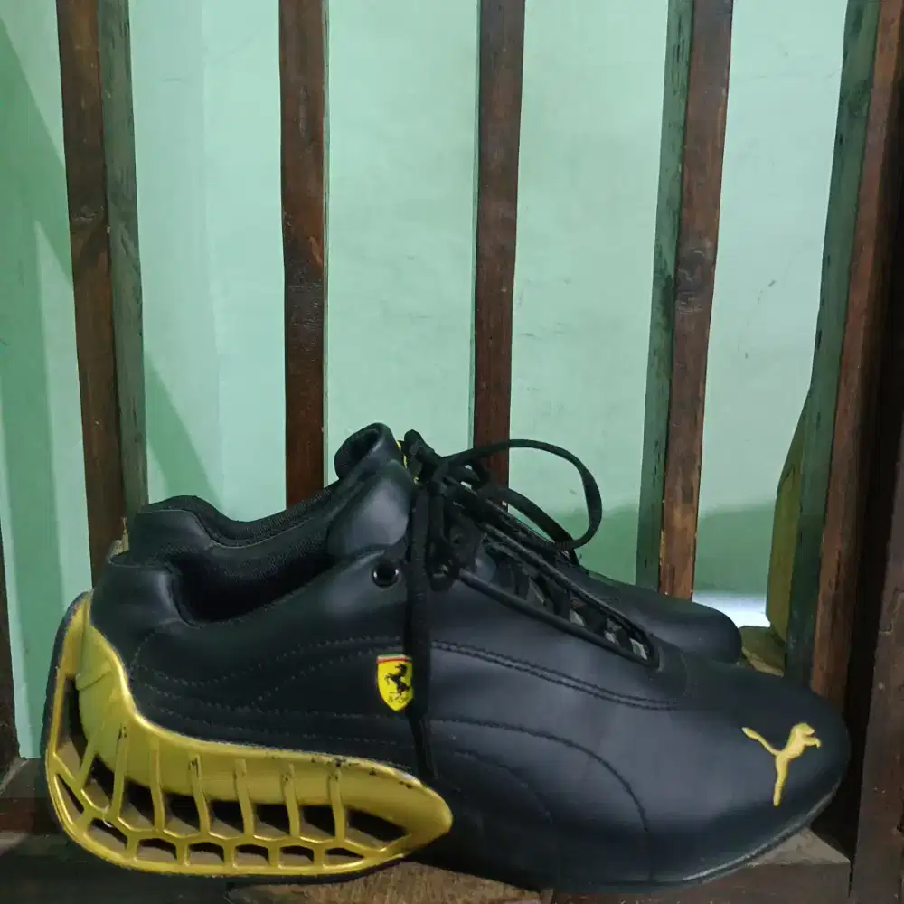 Puma Ferrari GT future