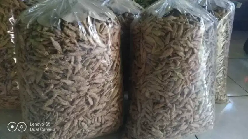 Ikan wader goreng 1 kg Rp 122.000