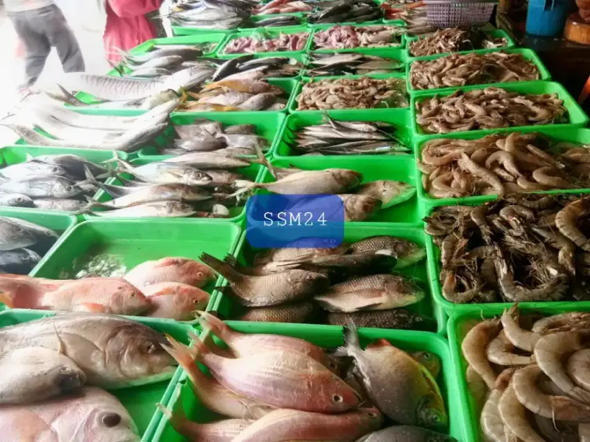 Terlaris Udang Konsumsi Bisa Dikirim Keseluruh Indonesia