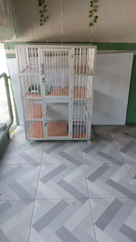Kandang kucing Bekasi timur 4