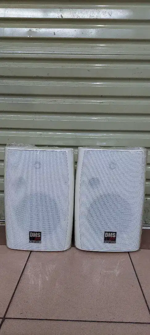 Speaker pasif DMs pro 8 inch