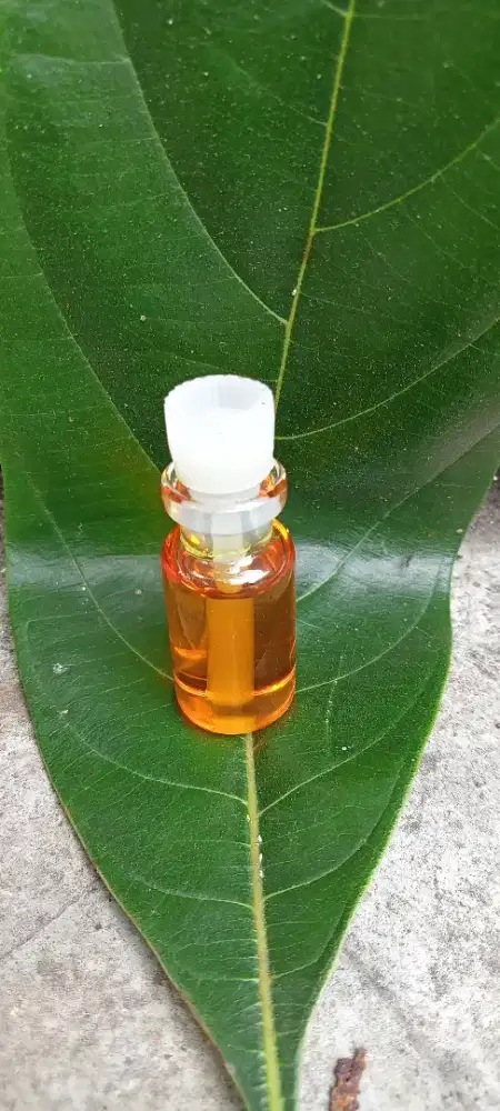 Minyak wangi kasturi murni