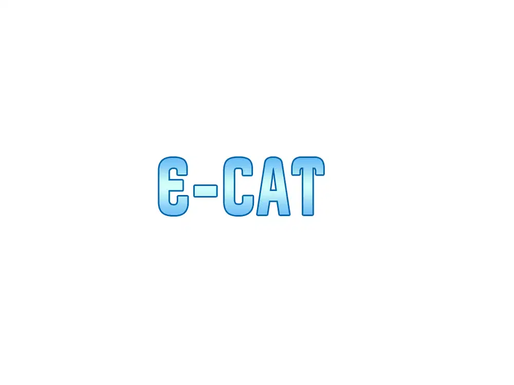 ECAT IT & CCTV