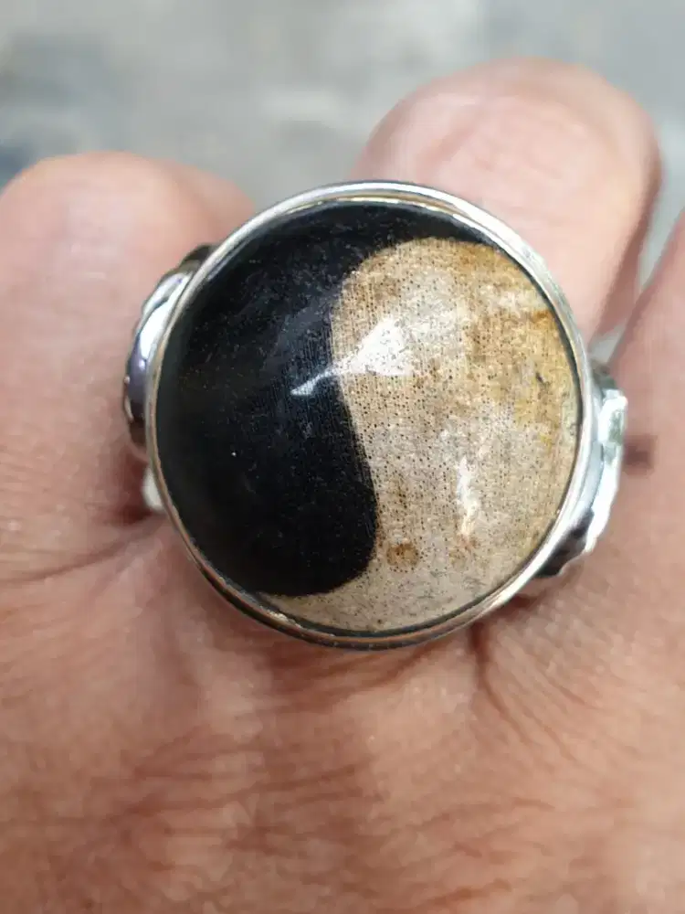 Natural Fosil Kelor Pamor Yin Yang
