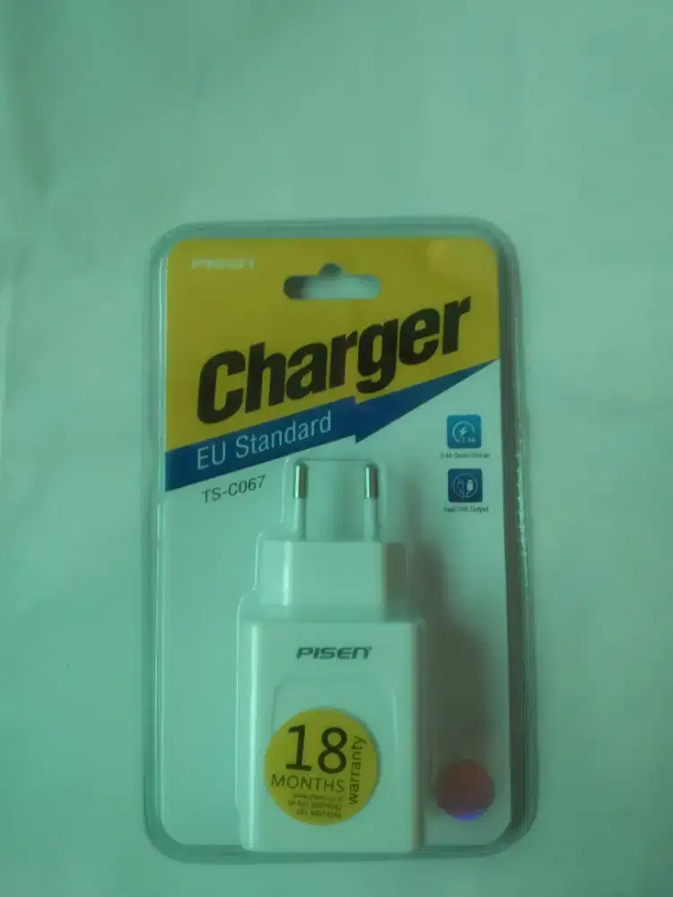 PISEN Dual USB Wall Charger Universal Phone Charger for Phones