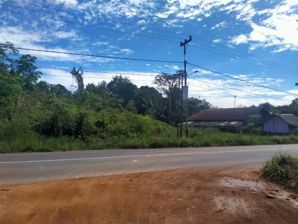 Jual Tanah Prospek Gudang (emas intan ada) Perumahan Ruko Instansi