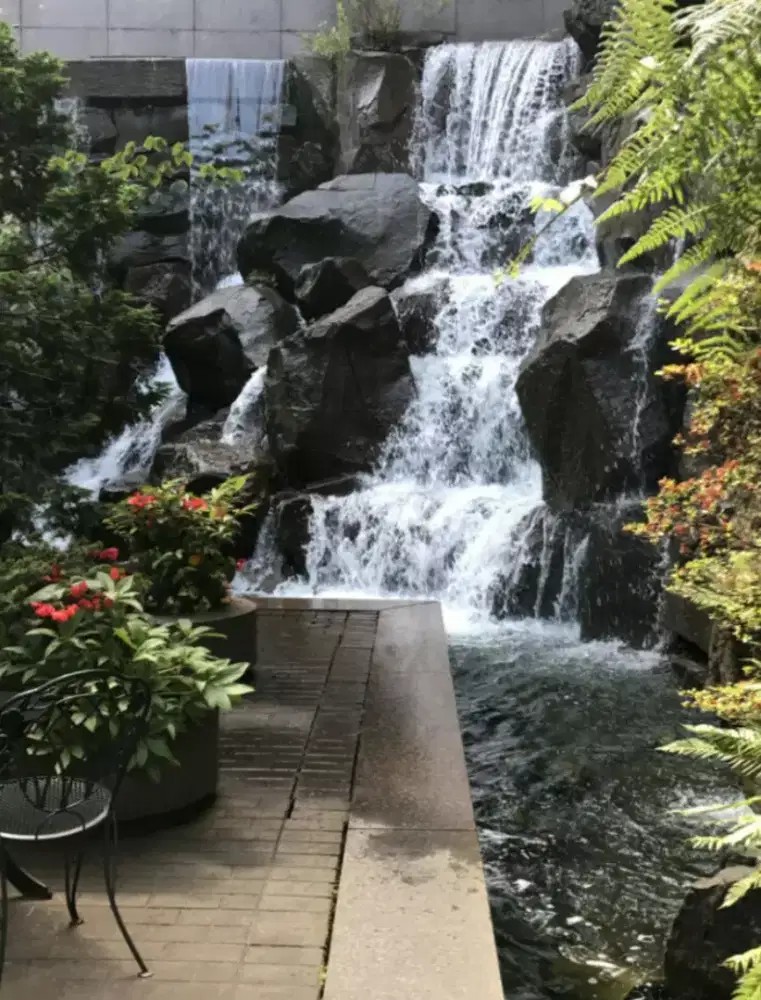 Kolam Natural Estetik – Suara Air Sejuk di Halaman Anda