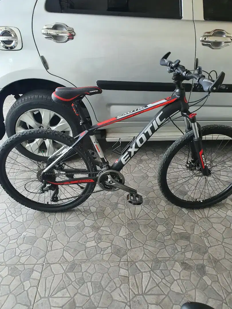 MTB Exotic by pasific 9 Speed like new