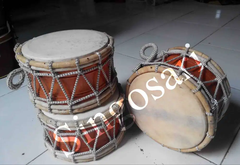 Marawis polos, keprak