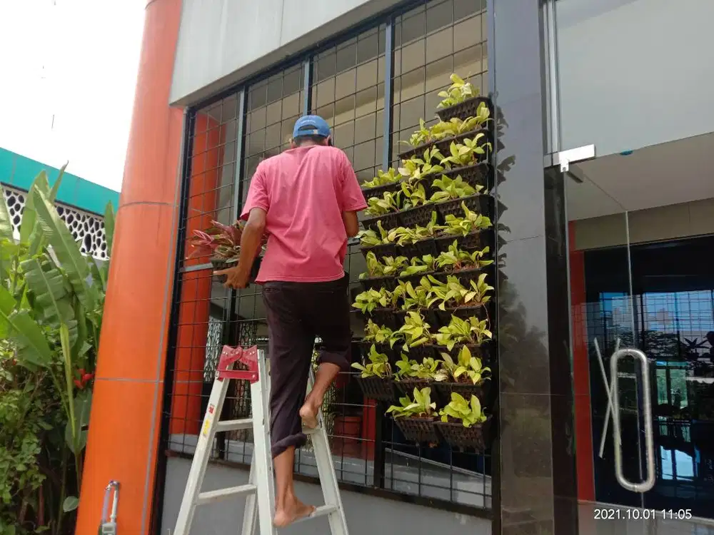 Pembuatan taman vertikal