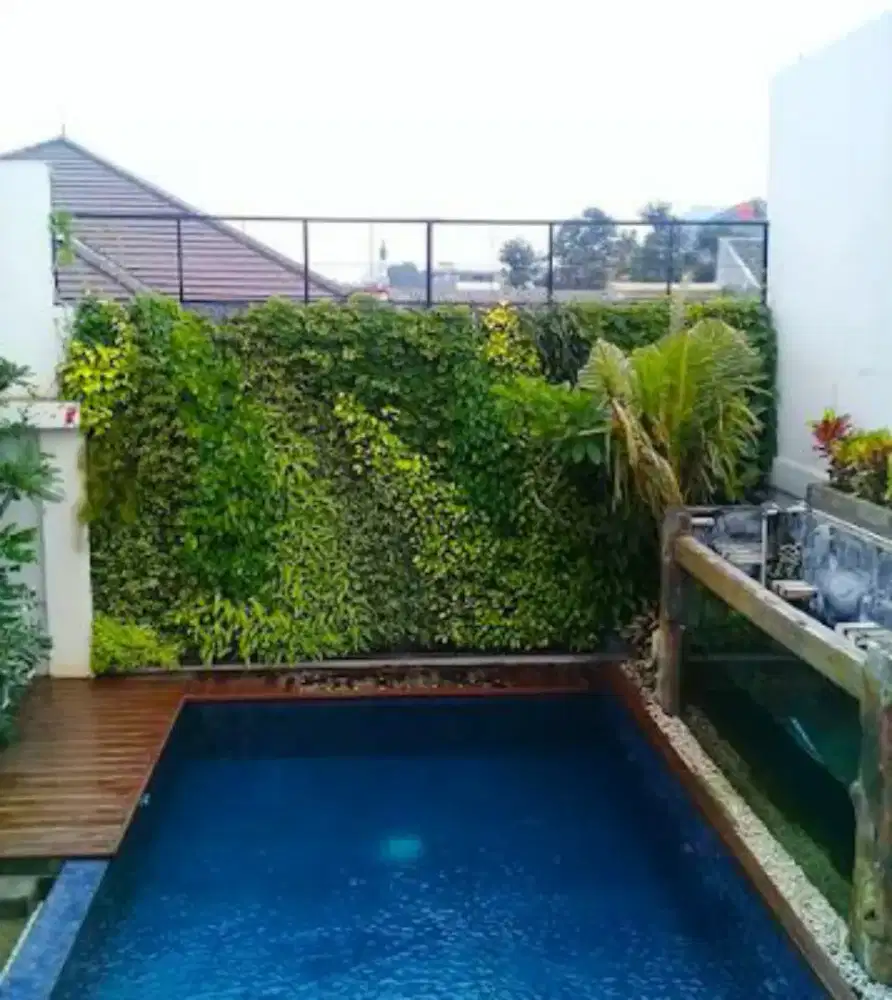 Ampyangan batu sikat,taman, kolam surabaya, Sidoarjo, gresik