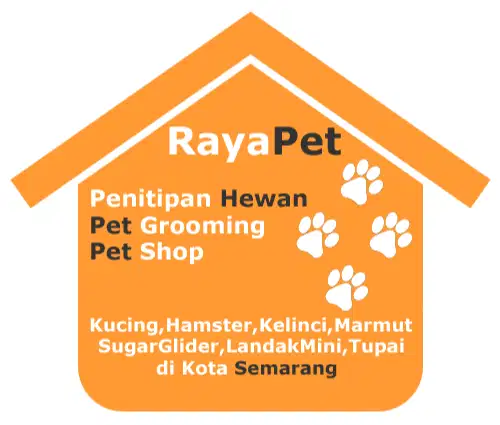 Penitipan Kucing, Sugar Glider, Hamster, Landak, Kelinci di Semarang