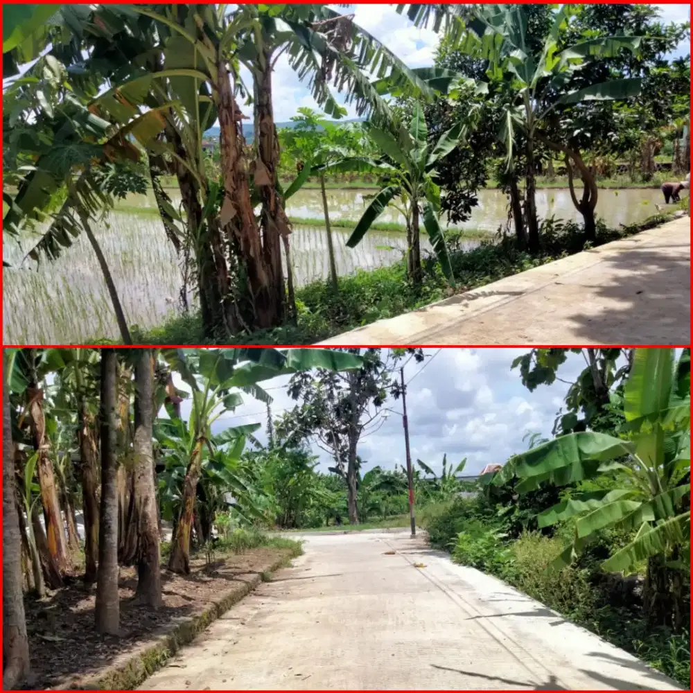 Jual Tanah di Jambidan Banguntapan