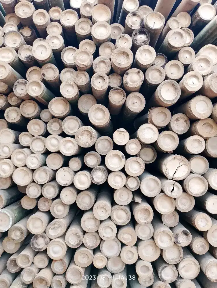 Jual bambu cerucuk,tiang steger