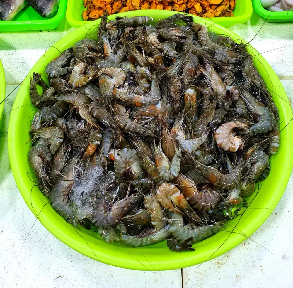 Terlaris Udang Pancet Konsumsi Bisa Kirim Indonesia