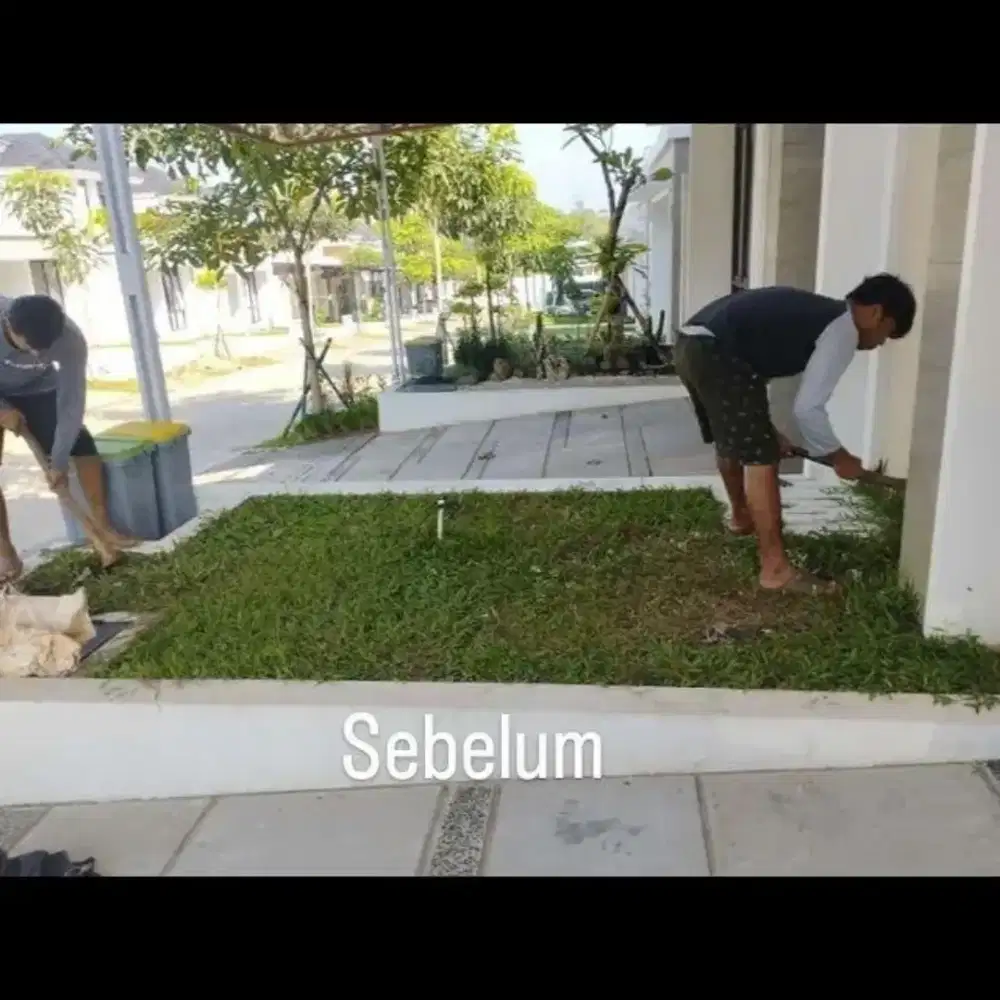 Pembuatan taman kering/tukang taman