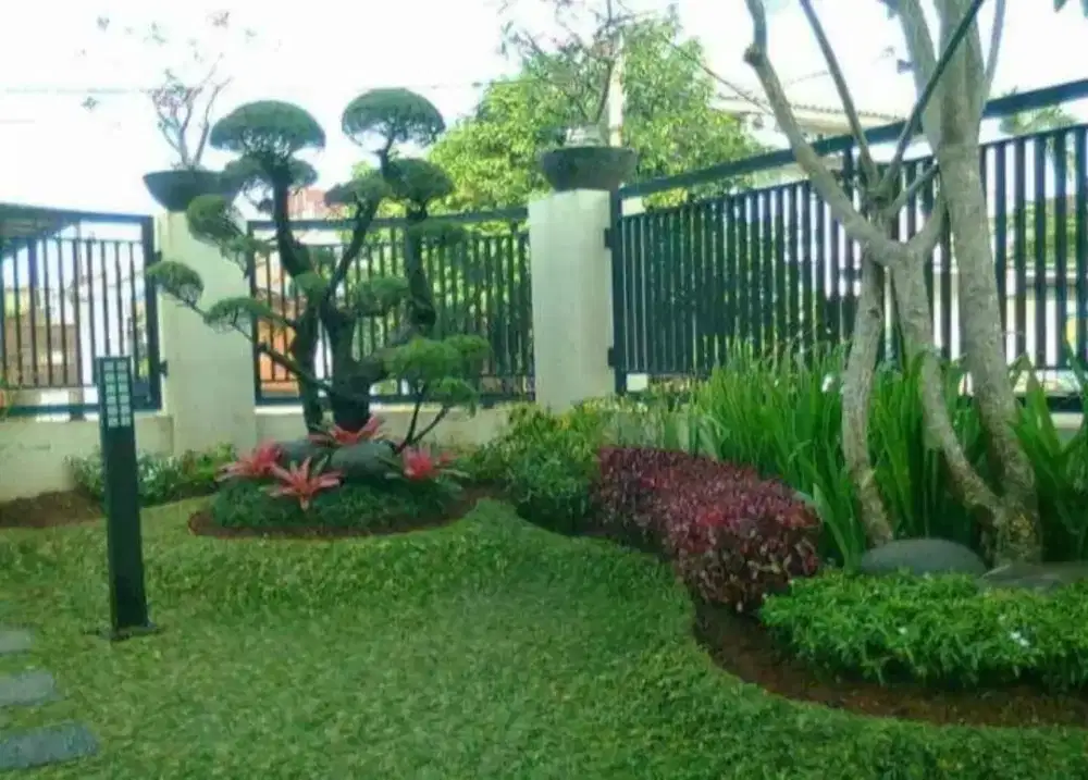 Pasang taman | pembuatan taman | tukang kolam koi|