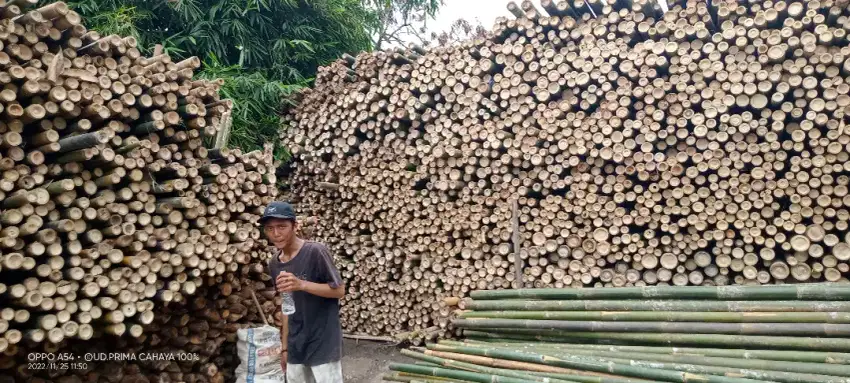 Jual bambu kaso triplek balok