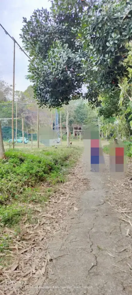 Jual tanah lokasi karangpandan luas 3,7Hekter harga 200rb/mtr nego