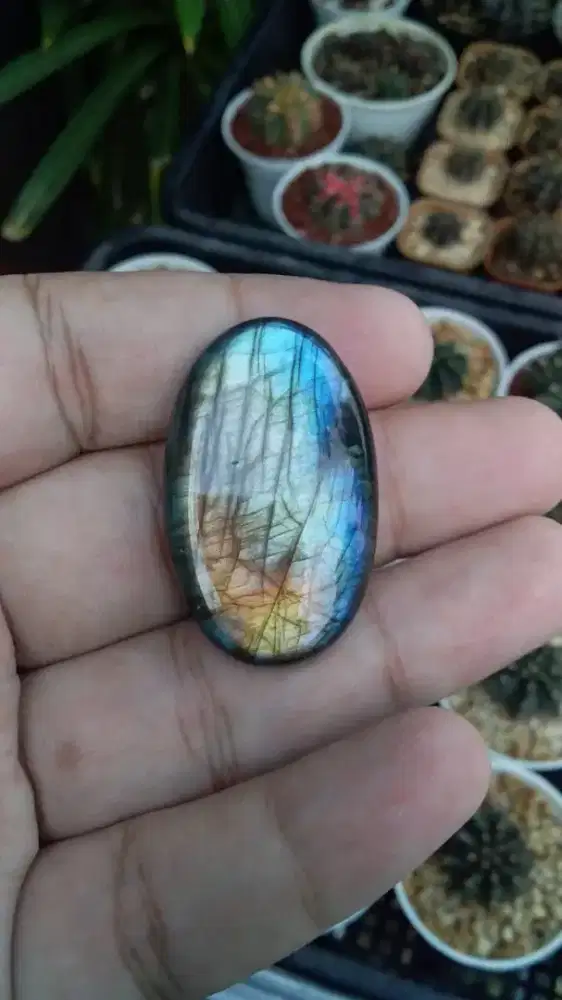 Batu labrador labradorite pelangi big size