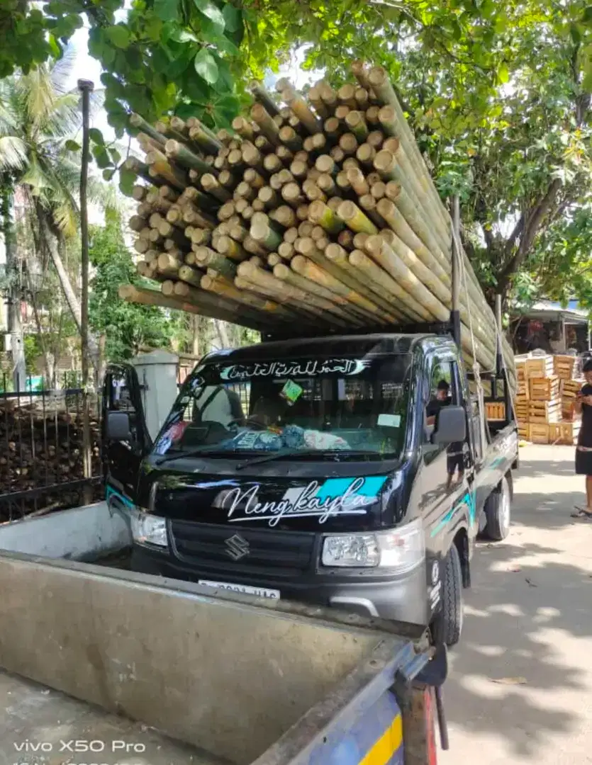 BAMBU STEGER UK.5/7 PANJANG 6MTR