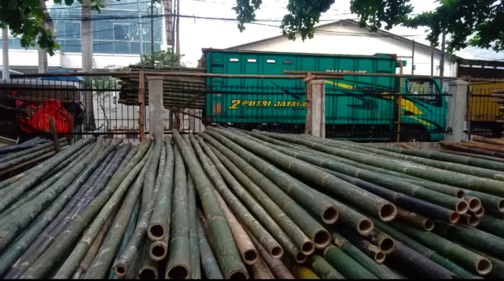 BAMBU STEGER UKURAN 8/9 PANJANG 6MTR