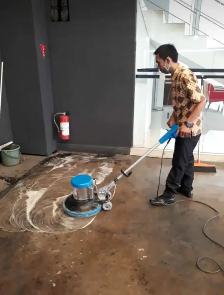 Cleaning service / General cleaning / gardener