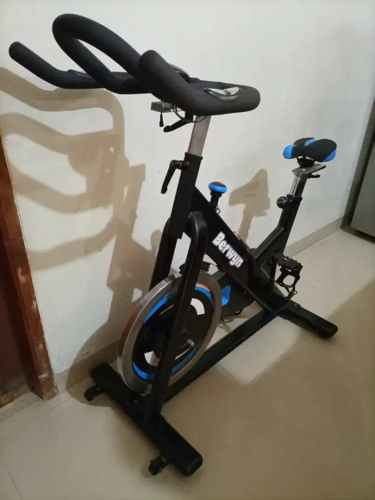 Berwyn best sale elliptical bike