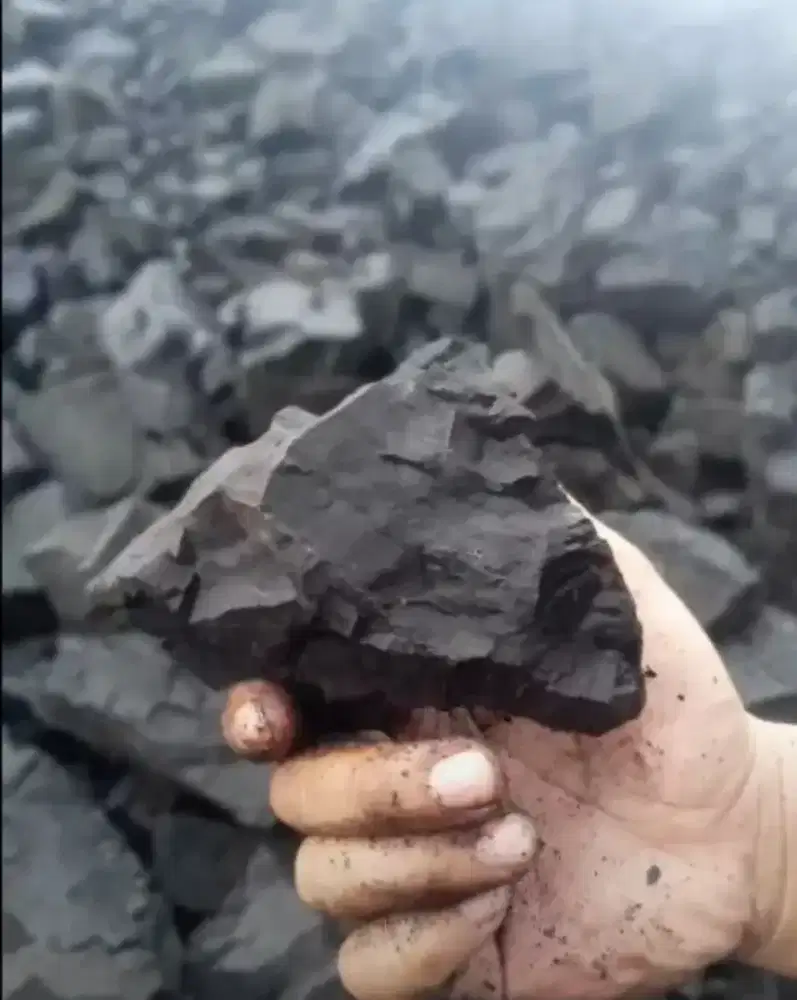 Penyedia batubara industri