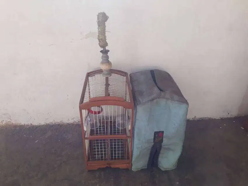 Sangkar burung kayu jati